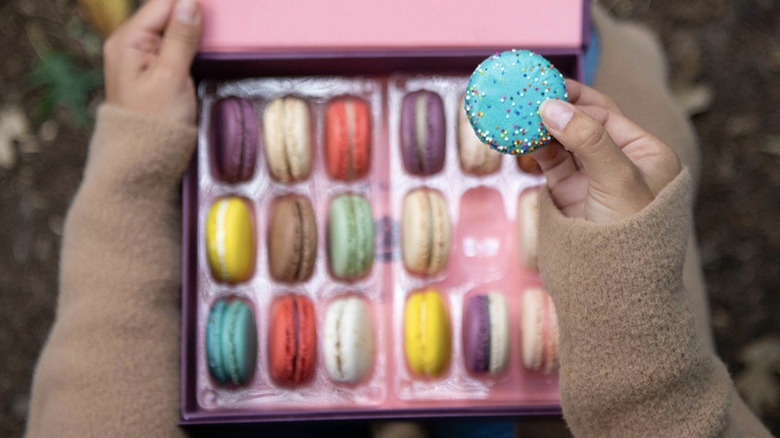 holding box of colorful macarons