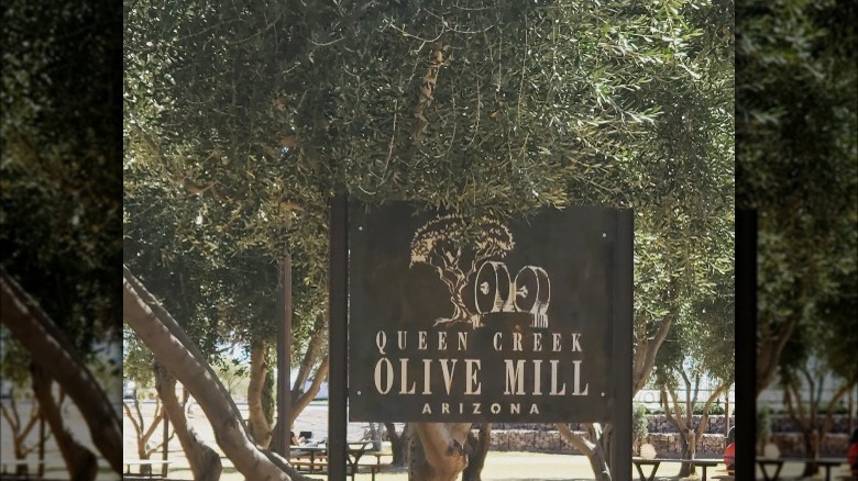 queen creek olive mill sign