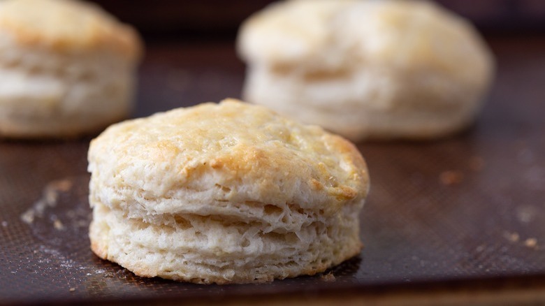 plain round scones 