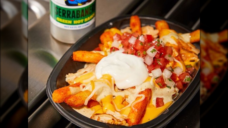 Taco Bell Secret Aardvark Nacho Fries