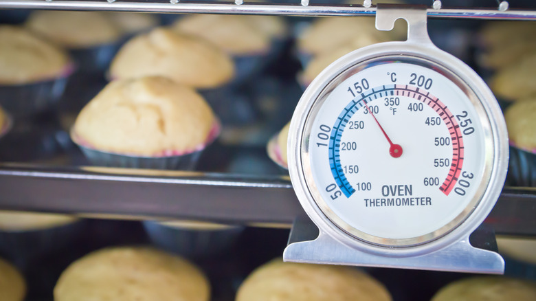 oven thermometer measuring muffin temperature