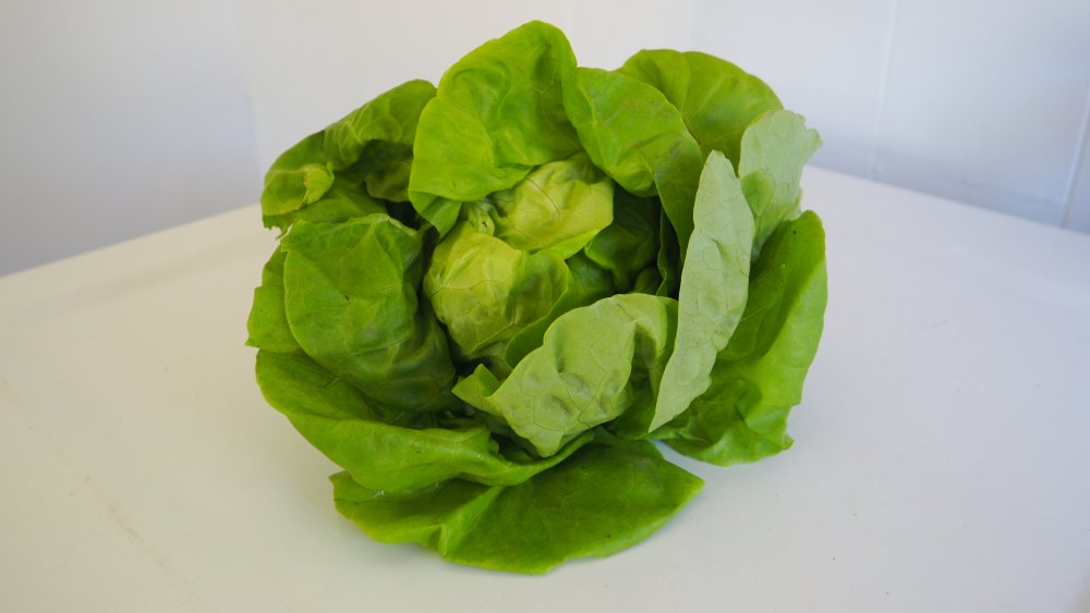 butter lettuce vs iceberg lettuce for copycat PF Chang's lettuce wrap