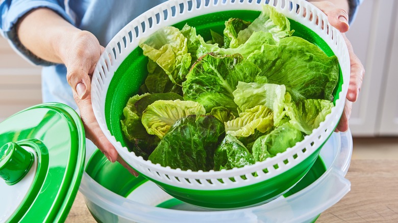 The Best Salad Spinners
