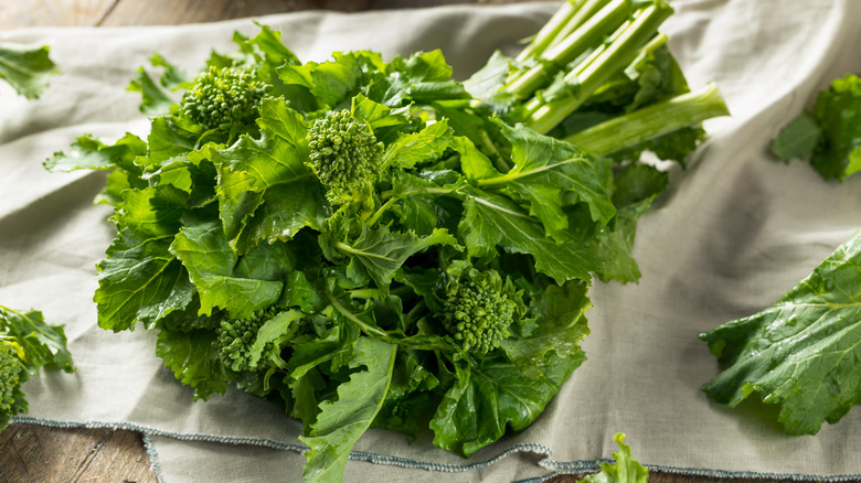 bunch of broccoli rabe