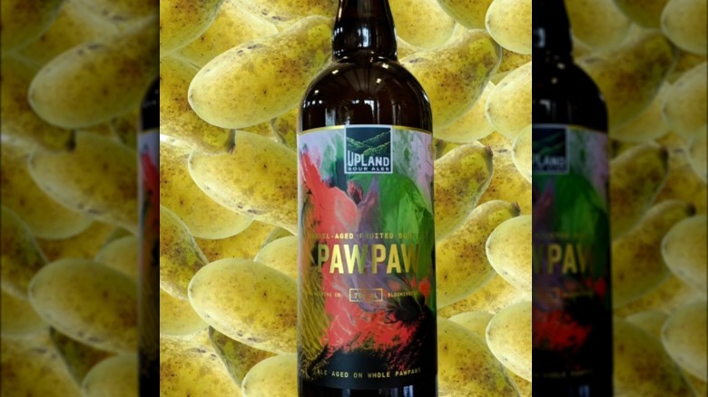 Upland Brewing Pawpaw sour beer