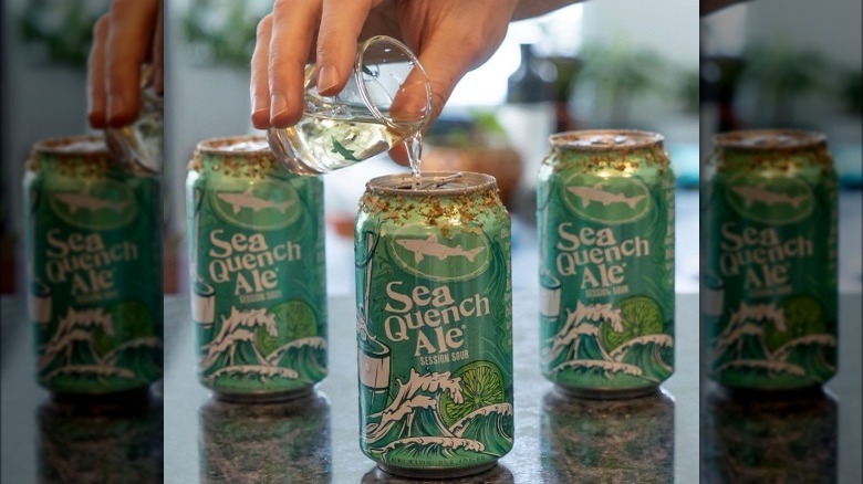 Dogfish Head Brewery Seaquench Ale 