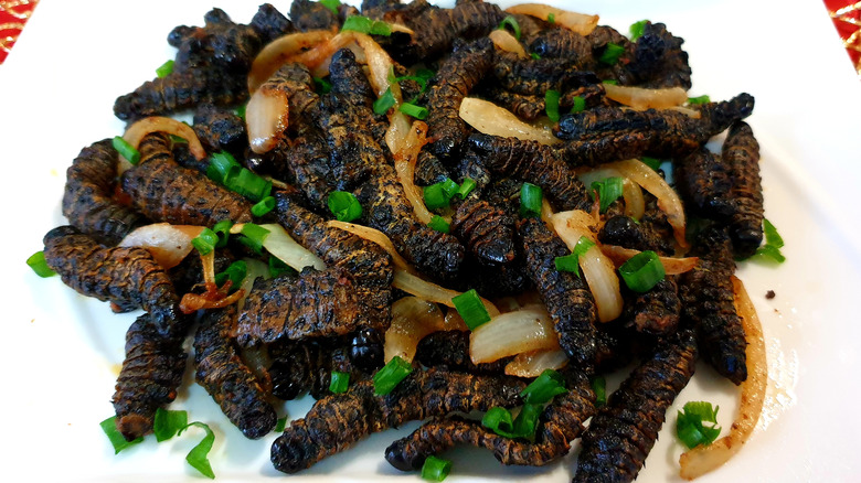 plate of cooked mopane worms