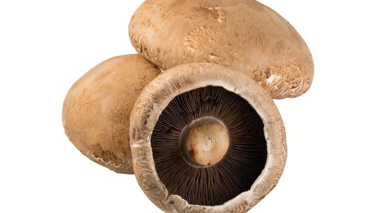 Portobello Mushroom caps on a white background