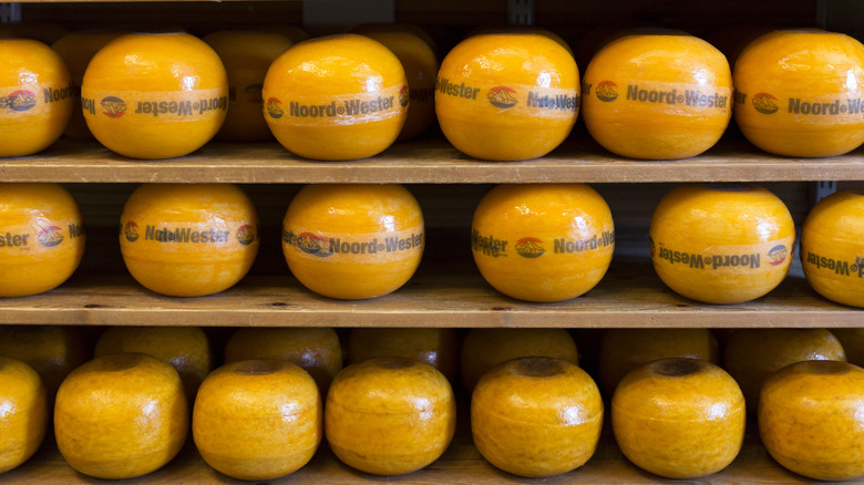 Orange wheels of Edam cheese