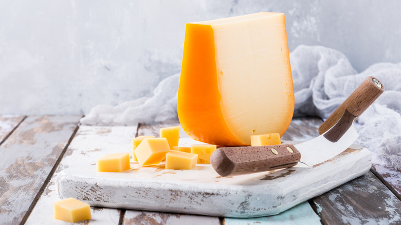 Dutch Gouda on a table with a knife