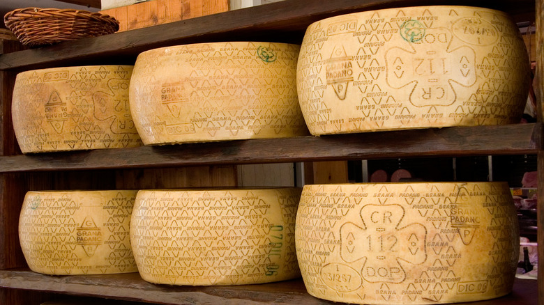 Wheels of Grana Padano on wood shelves