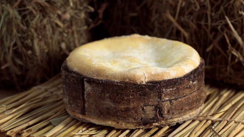 Wheel of Vacherin Mont d'Or on straw plate