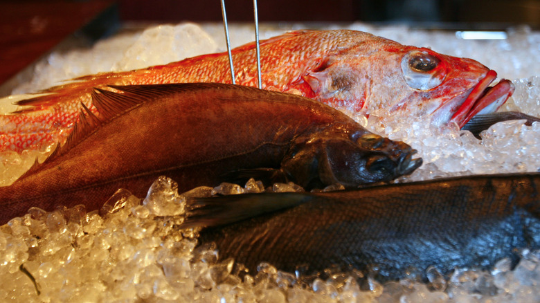 raw salmon on ice