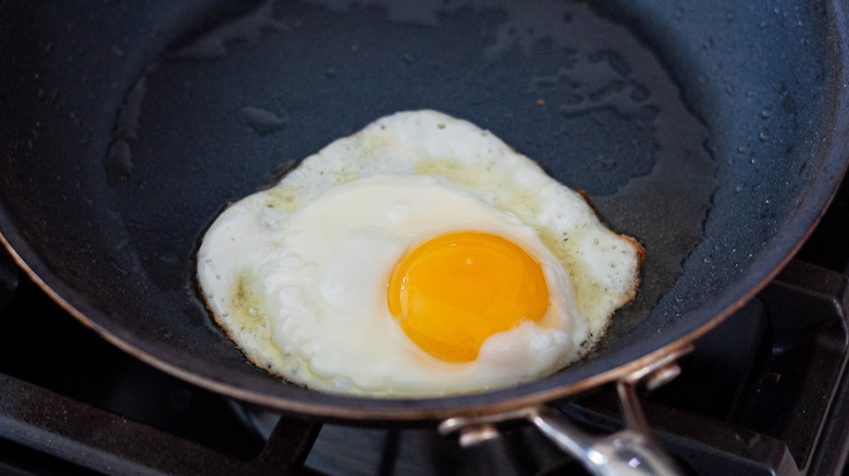 fried egg