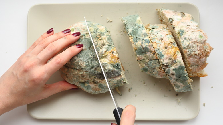 Person cutting moldy loaf of bread 