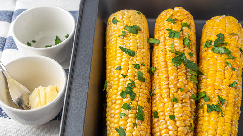 Corn on the cob in try