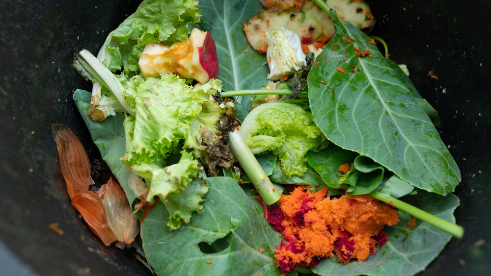 Food scraps on a large cabbage leaf