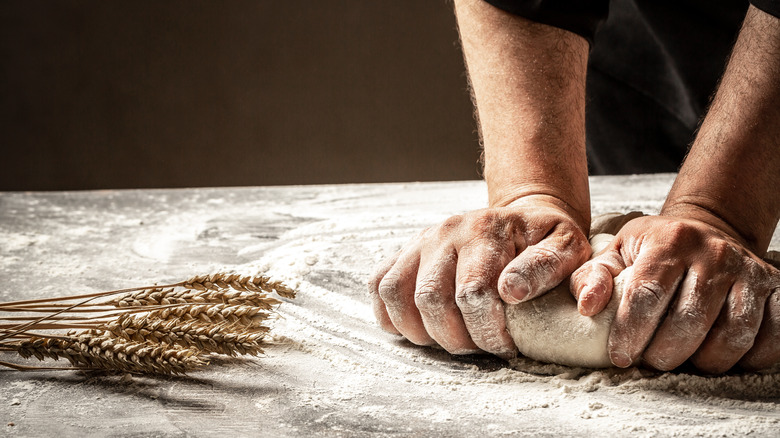 Wheat stalks and hands kneading bread