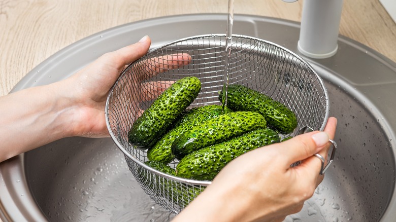 Person washing cucumbers