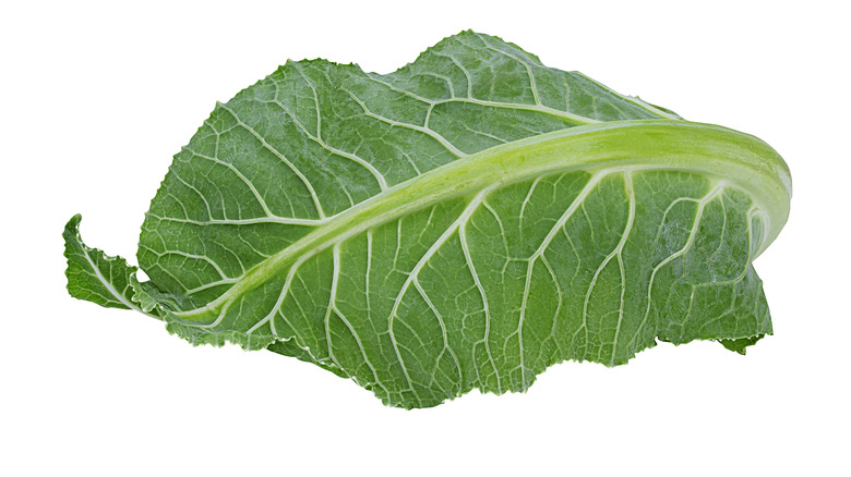 cauliflower leaf