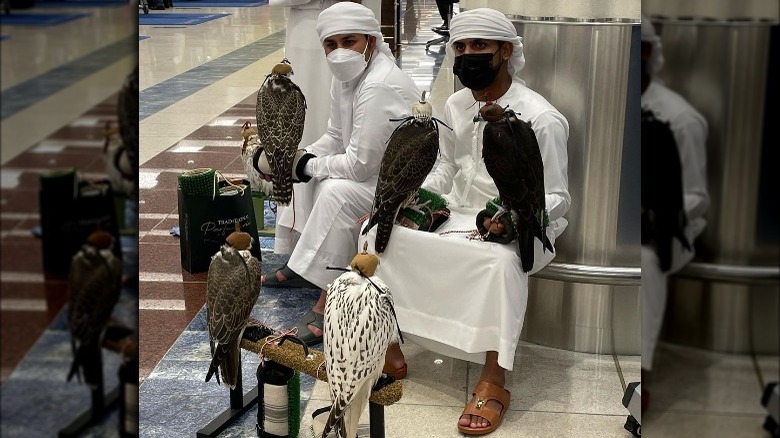 Men with Falcons at an airport