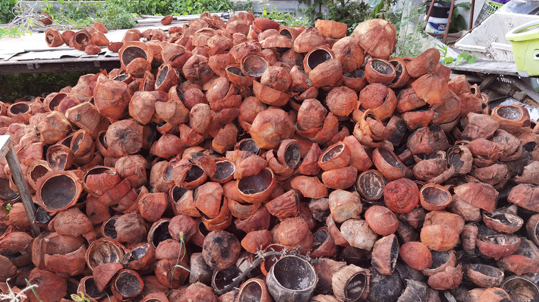 Pile of discarded coconut husks