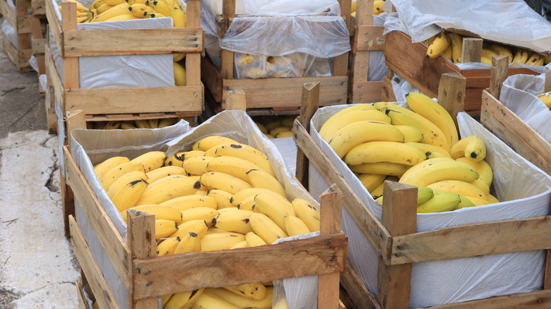 Bananas in a box