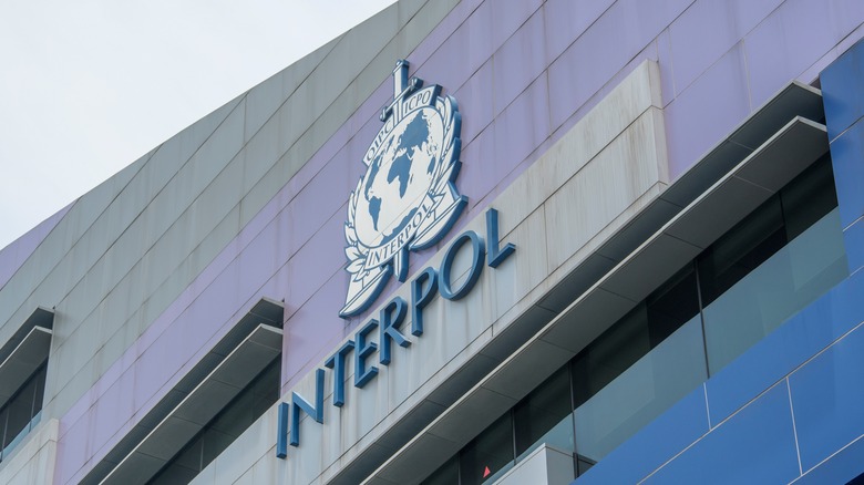 Interpol logo