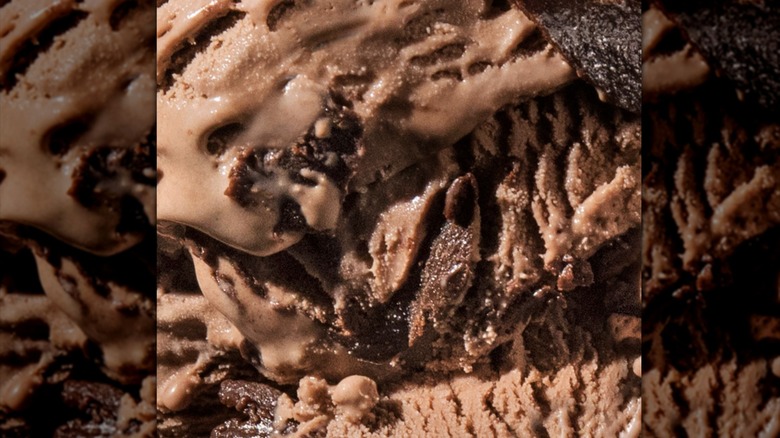 Close-up of Tillamook chocolate ice cream