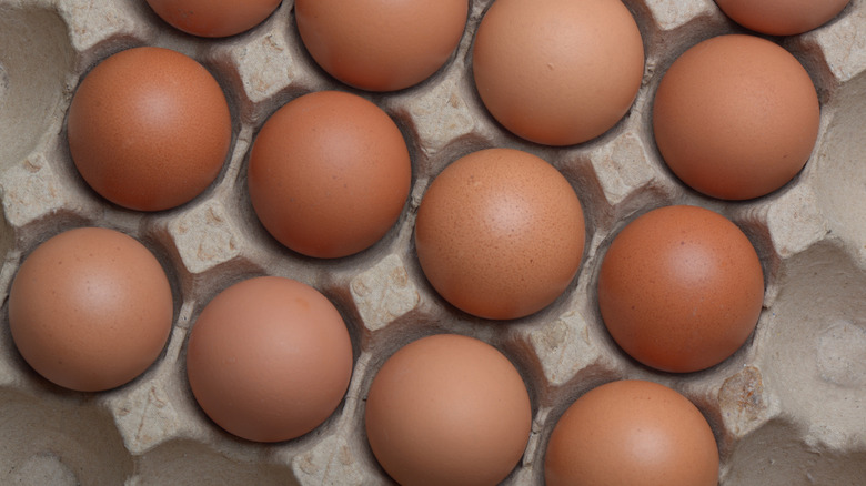 Overhead view of brown eggs