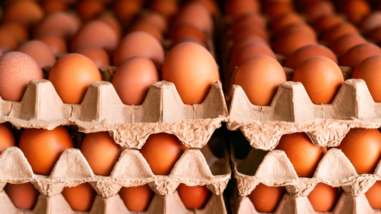 Rows of brown eggs in cardboard packaging