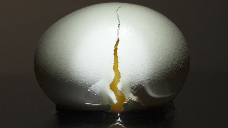 Close-up of egg with vertical crack