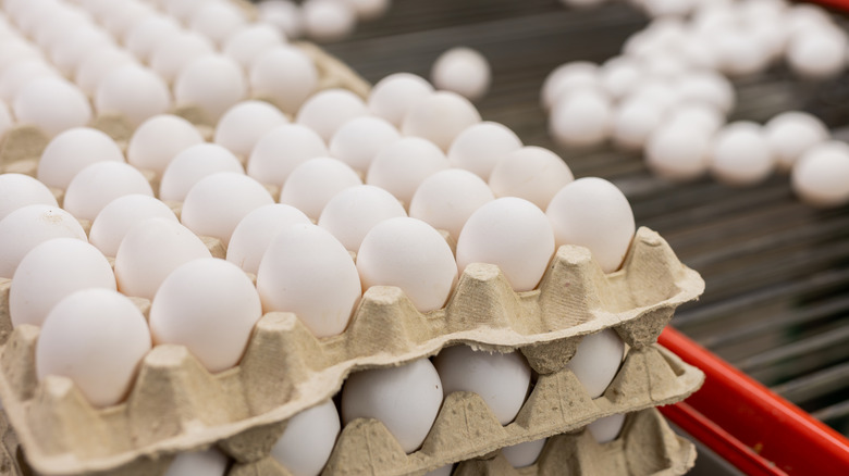 Eggs being processed in factory