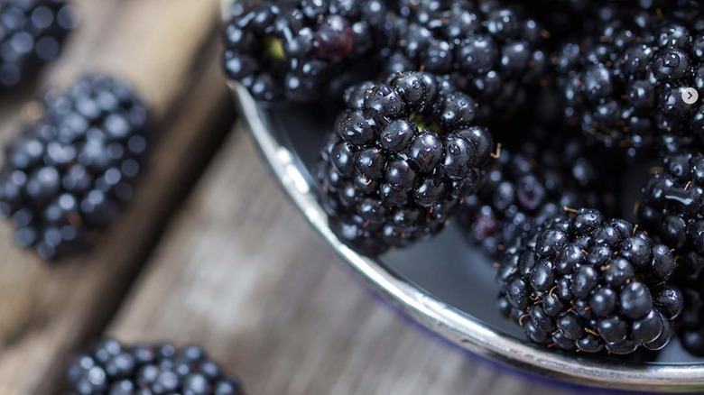 Closeup of fresh blackberries