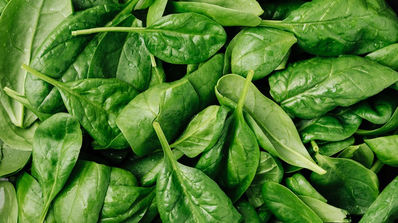 Washed baby spinach leaves