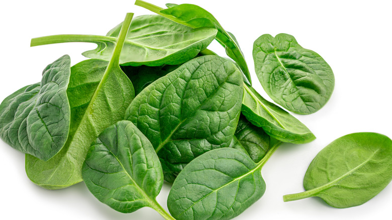 spinach leaves on white background 