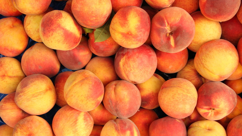 peaches and nectarines