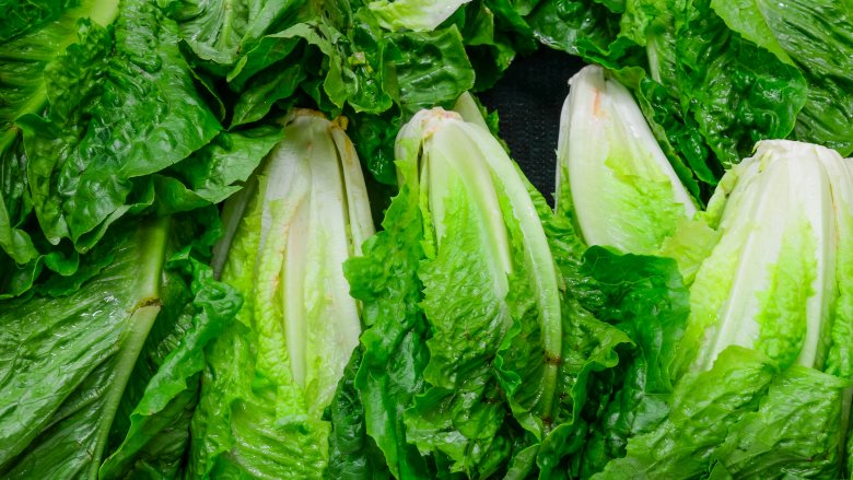 romaine lettuce