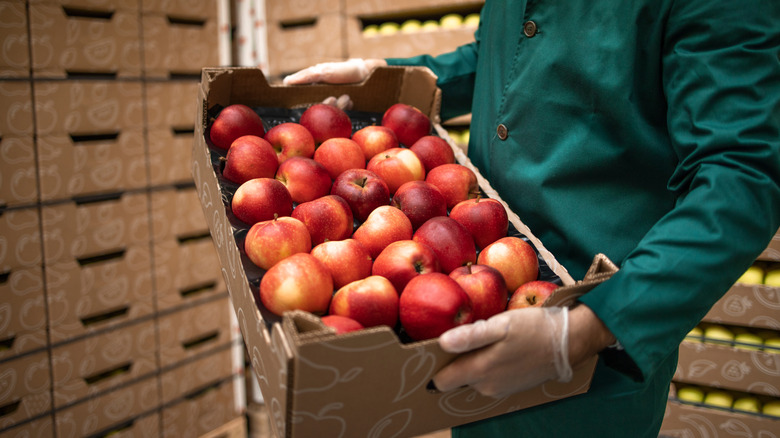 Man carries crate of apples in fruit warehouse