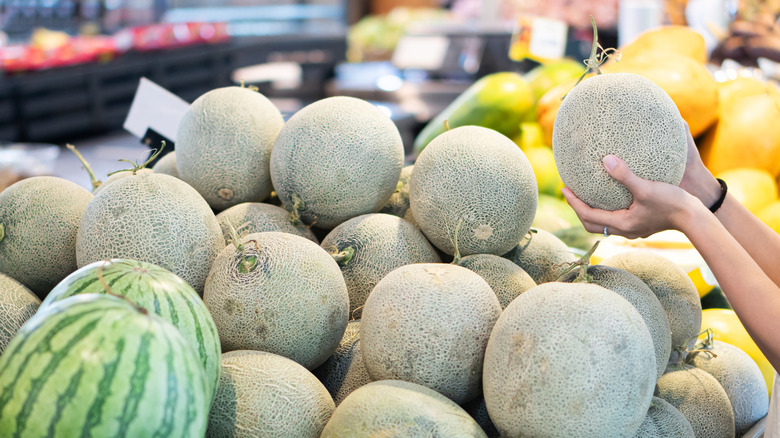 Person holds cantaloupe in grocery store