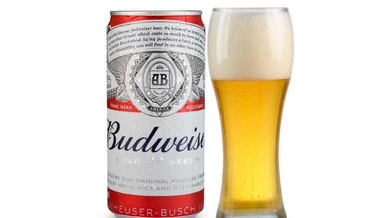 Can and glass of Budweiser