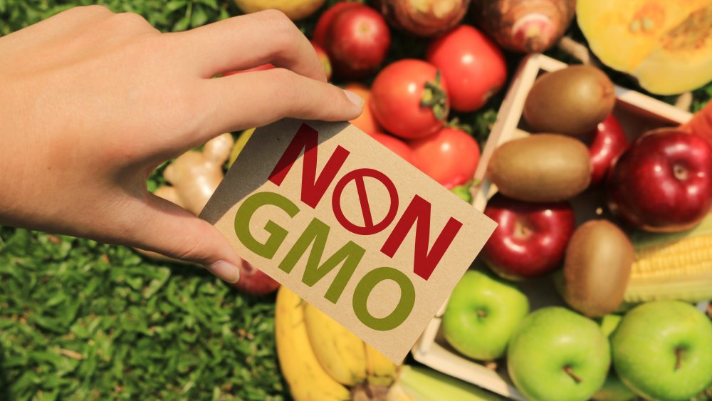 non-gmo foods