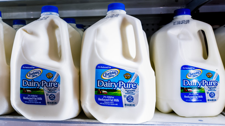 Berkeley Farms DairyPure milk jugs