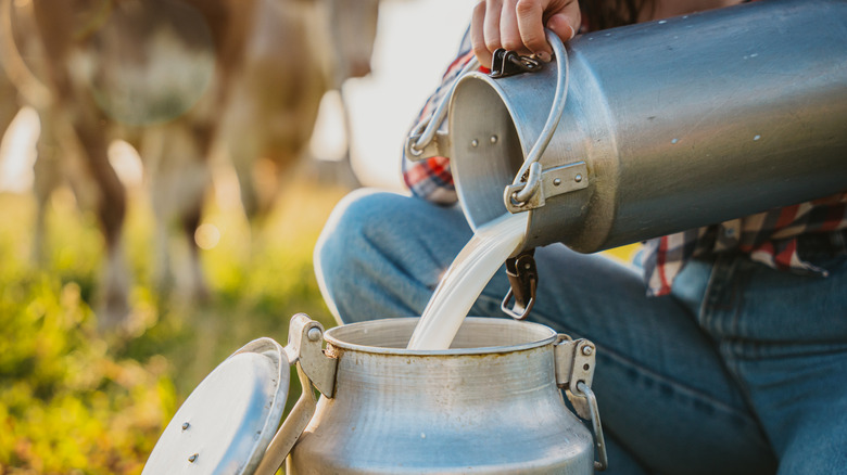 raw milk being poured