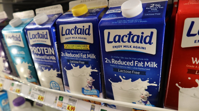 Lactaid milk on grocery shelf