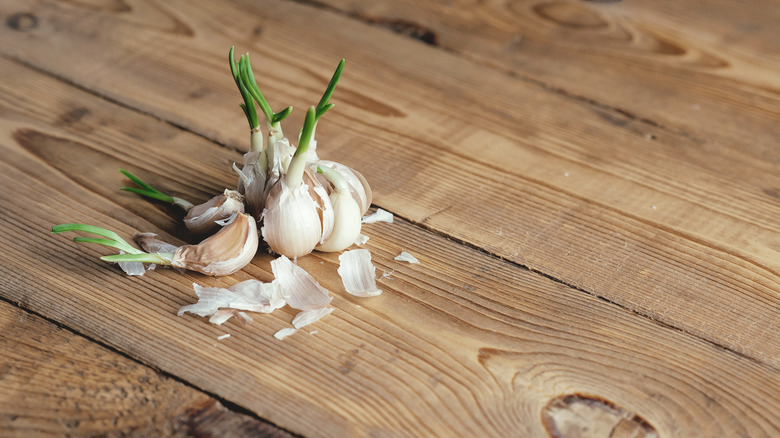 Fresh garlic on board