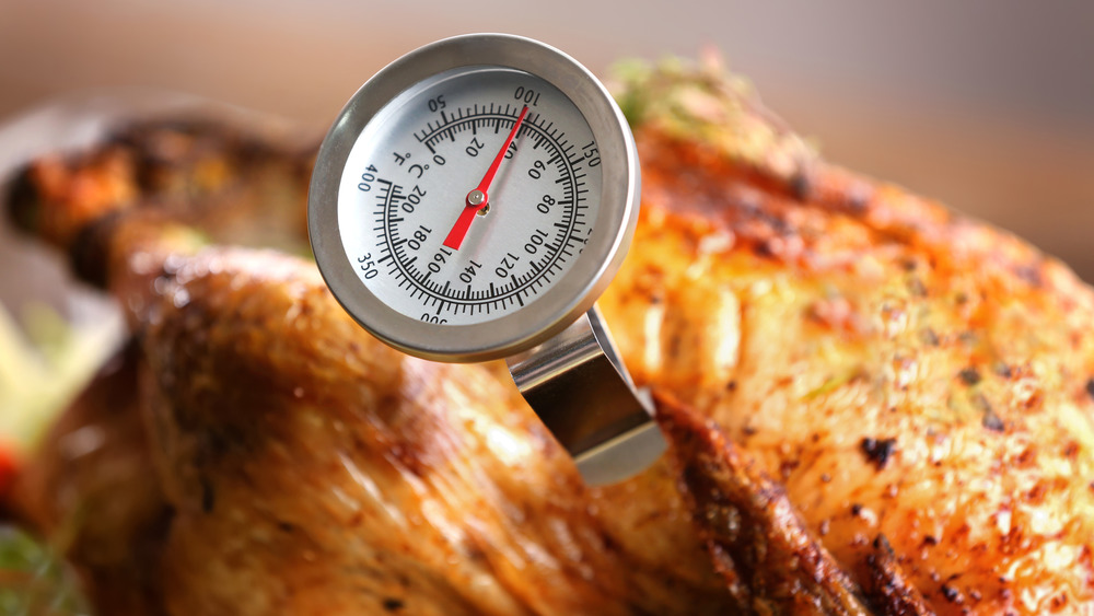 Turkey with meat thermometer