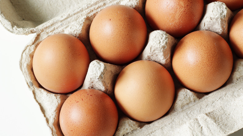 Eggs in an egg carton