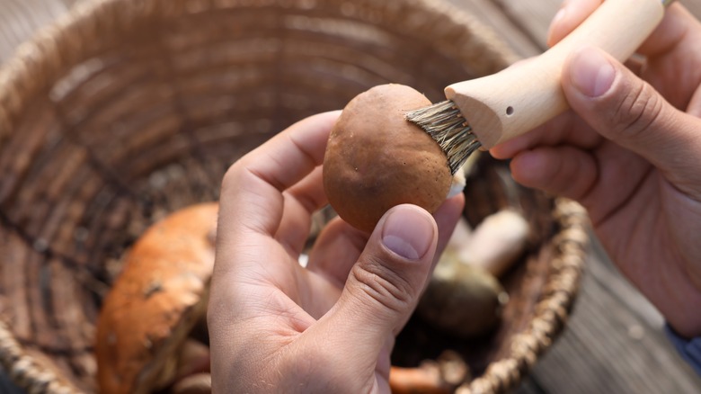 cleaning foraged mushrooms with a brush