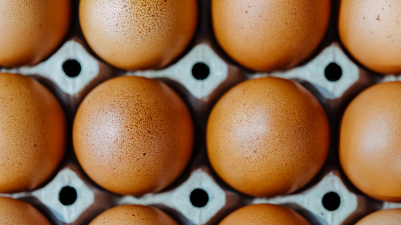 Carton of eggs for muffins